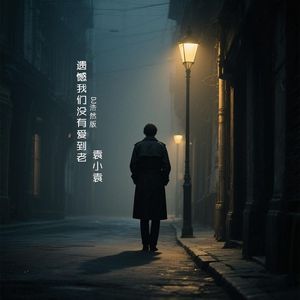 遗憾我们没有爱到老 (DJ浩然版)