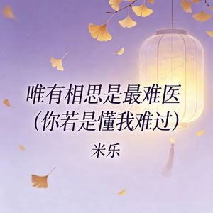 唯有相思是最难医（你若是懂我难过）
