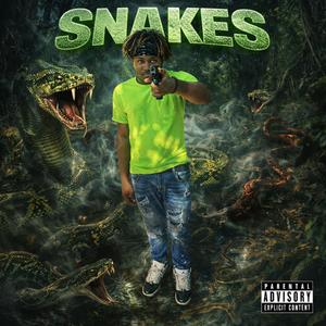Snakes