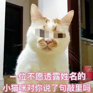 楼楼巡山