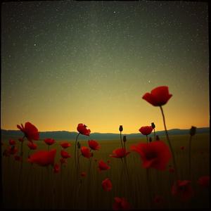 Jeg Vænner Mig Til Stilhed