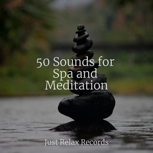 Murmurs by the Foggy Bay