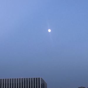 晚安（翻自 林宥嘉）