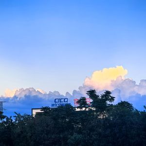 我们 [高质量]