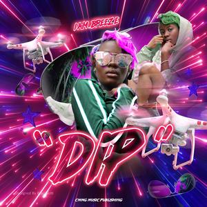 DIP