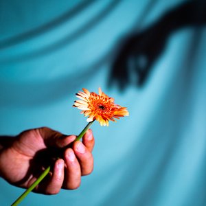 On s'entendra jamais