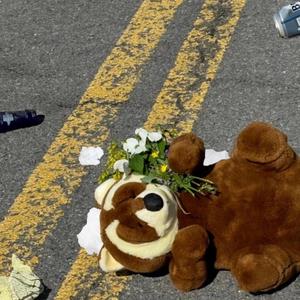 roadkill
