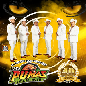 Polvo y Olvidó (feat. Norteños de Ojinaga)