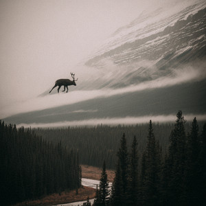 Shadow in the Blue Wind