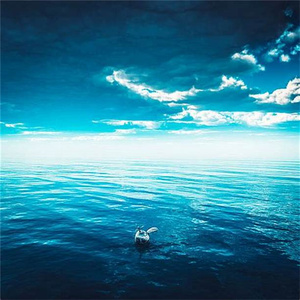 美しいメロディー