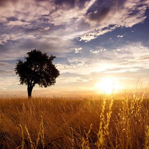 刘若英-后来 (1)（像眨眼的小太阳 remix）