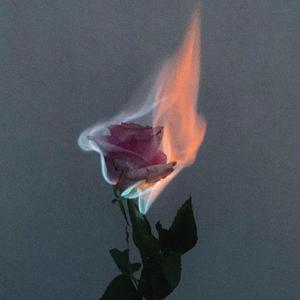 Bathroom Selfies (feat. Dann Dib)