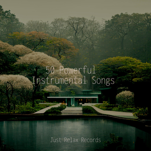 Ethereal Odyssey of Enlightenment