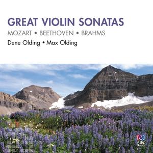 Violin Sonata in F Major, Op. 24 "Spring": II. Adagio molto espressivo