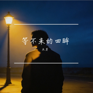 等不来的回眸