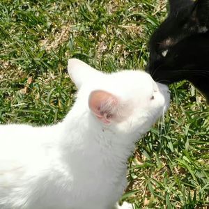 我们是Destiny就好了(prod.by Morrow)