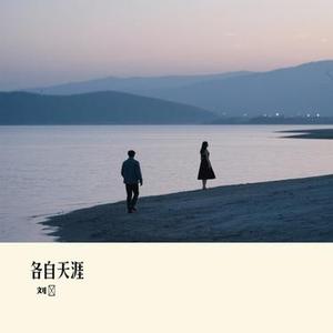 各自天涯