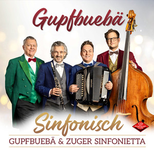 Gipfelstürmer