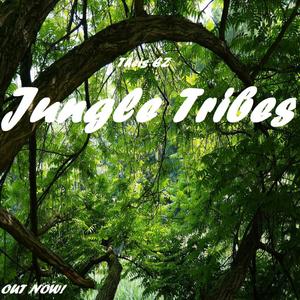 Jungle Tribes (Original Mix)