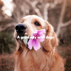 Peaceful Doggy Tails