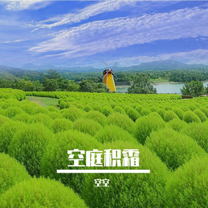 空舟泊岸
