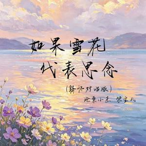 如果雪花代表思念(释怀对唱版)