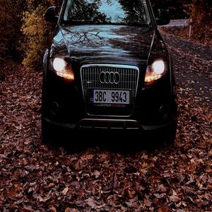 Shadows in the night