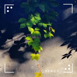 秋思（纯音乐）