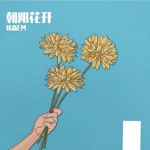 朝阳花开