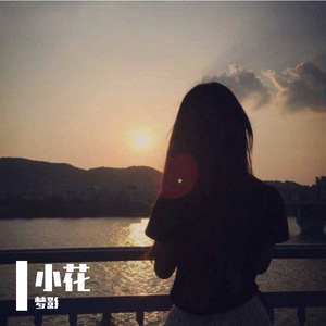 小花 伴奏