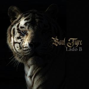 Fué (Demo)