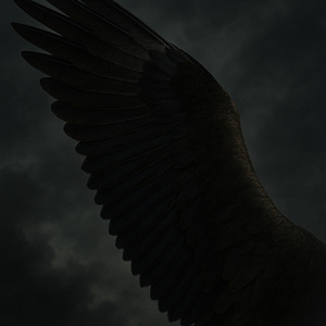 Arquétipo da Águia