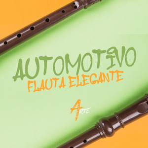 AUTOMOTIVO FLAUTA ELEGANTE