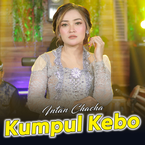 Kumpul Kebo