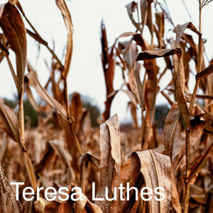 Das ist nicht dein tag