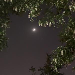 你给我睡楼道吧