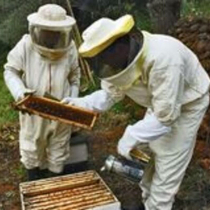 Beekeepers