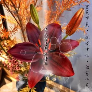 《爱要勇敢说出来》 纯音乐