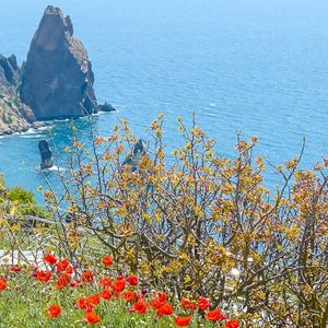 Распахни же окно