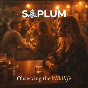 Observing The Wildlife