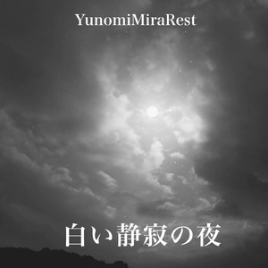 白い静寂の夜