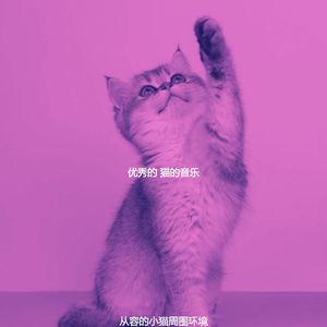 精彩小猫环境