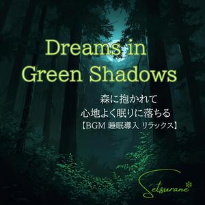 永遠の木霊 ─ Eternal Echoes of Trees