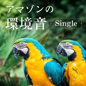 アマゾンの環境音: Single