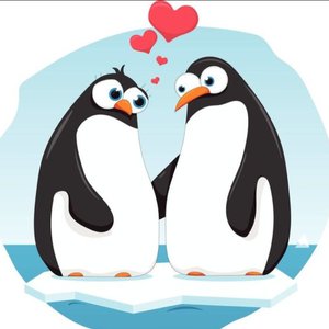 小企鹅的爱