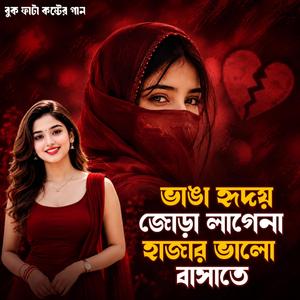 ভাঙা হৃদয় জোড়া লাগেনা হাজার ভালো বাসাতে