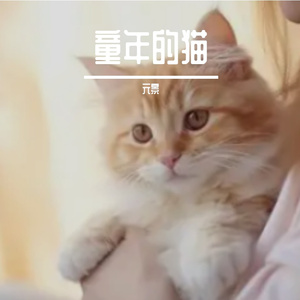 猫的背包