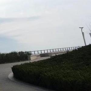 亲爱的小孩