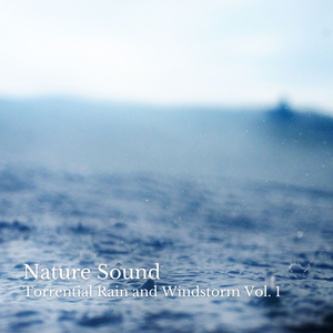 Splendid Evening with Thunder