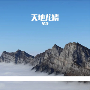 天地龙鳞